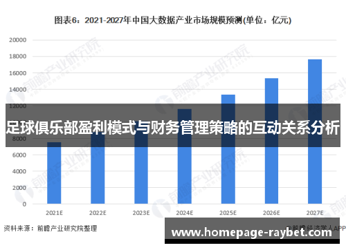 足球俱乐部盈利模式与财务管理策略的互动关系分析