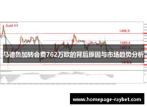 马德鲁加转会费762万欧的背后原因与市场趋势分析 马德鲁加转会费762万欧的背后原因与市场趋势分析