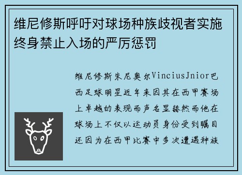 维尼修斯呼吁对球场种族歧视者实施终身禁止入场的严厉惩罚 维尼修斯呼吁对球场种族歧视者实施终身禁止入场的严厉惩罚